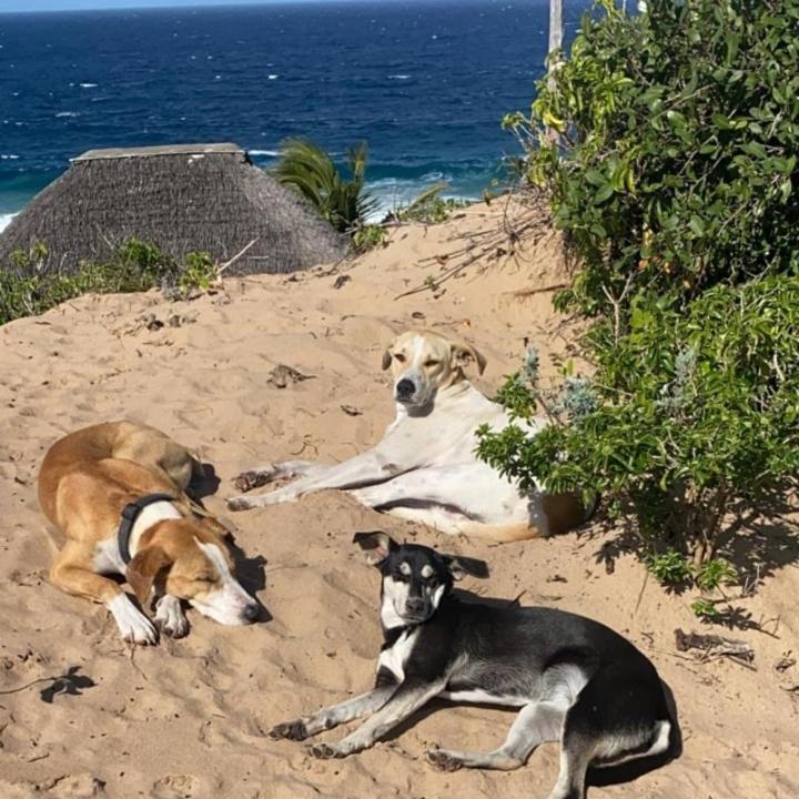 Mar-Me-Quer, Eco Beach Retreat Inhambane Kültér fotó