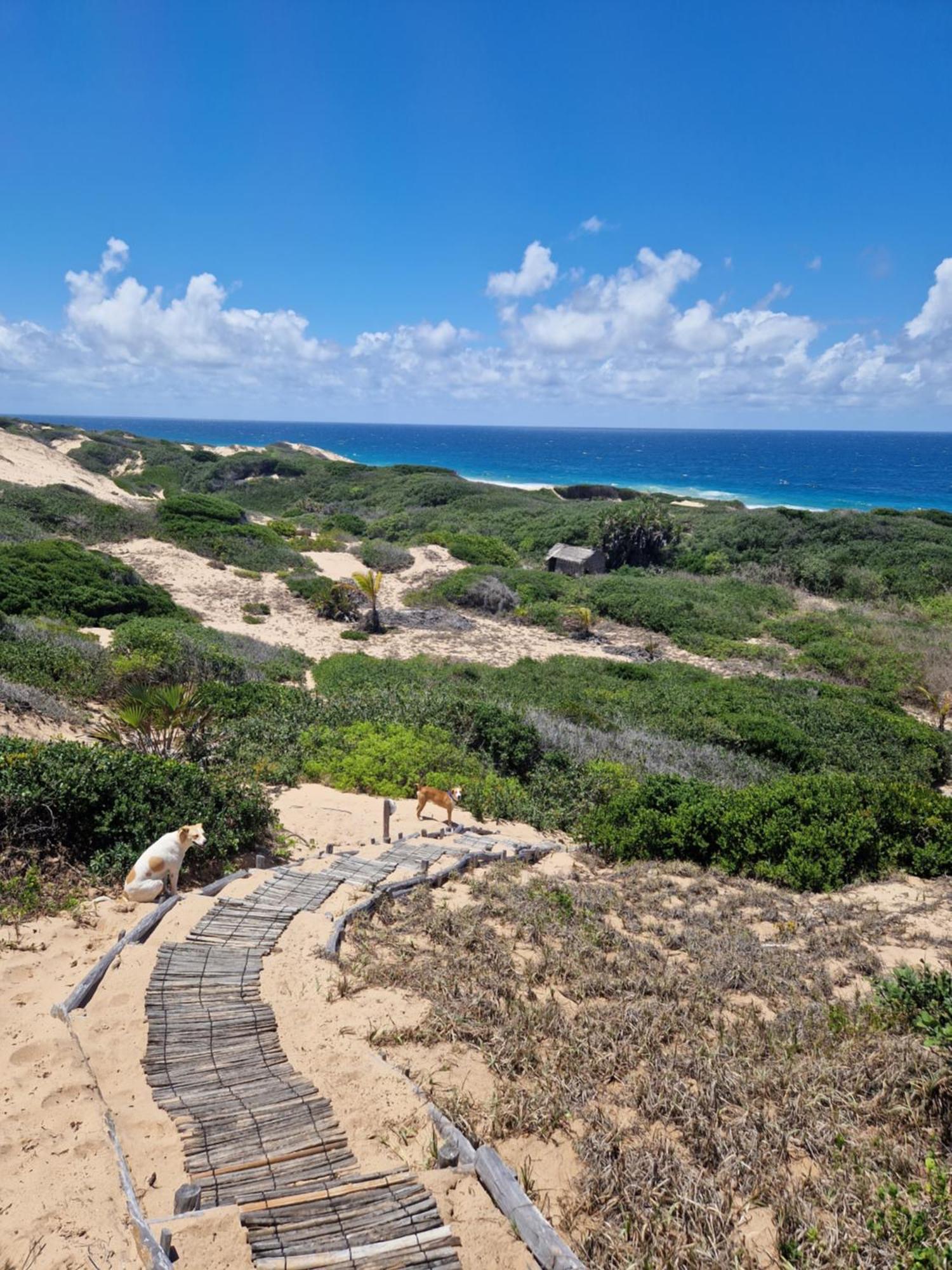 Mar-Me-Quer, Eco Beach Retreat Inhambane Kültér fotó