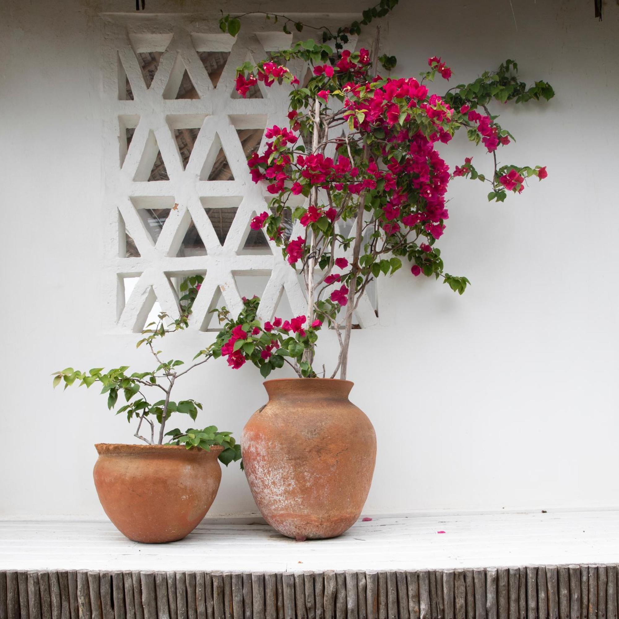 Mar-Me-Quer, Eco Beach Retreat Inhambane Kültér fotó
